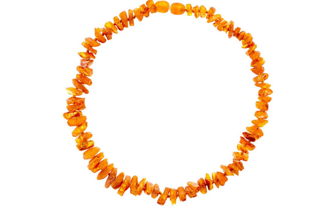 Produktfoto Bernstein-Halsband fürs Hündchen
